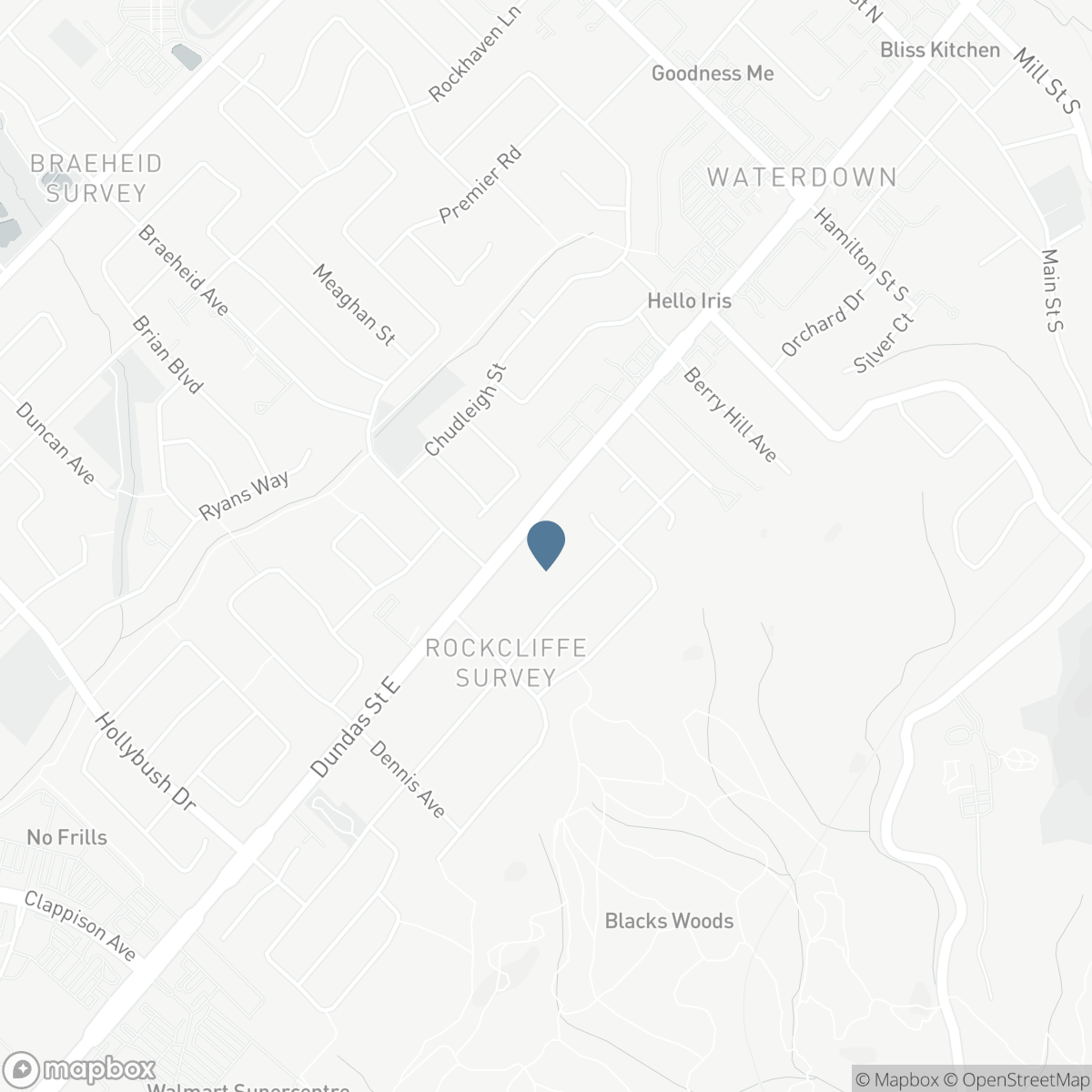 194 DUNDAS STREET E, Hamilton, Ontario L8N 2Z7